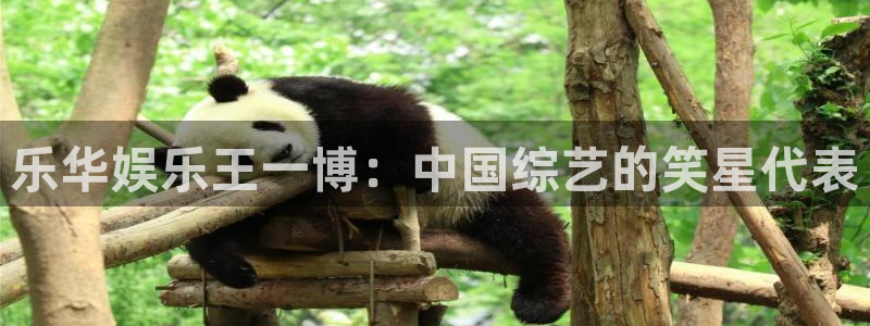 庄闲和游戏官网：乐华娱乐王一博：中国综艺的笑星代表