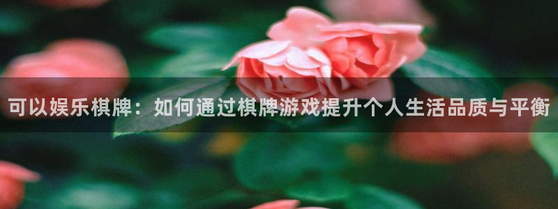 庄闲和游戏官网：可以娱乐棋牌：如何通过棋牌游戏提升个人生活品质与平衡