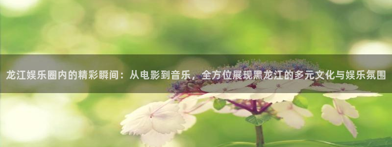 庄闲和游戏官网：龙江娱乐圈内的精彩瞬间：从电影到音乐，全方位展现黑龙江的多元文化与娱乐氛围
