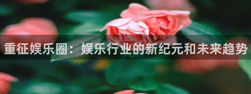 庄闲和游戏官网：重征娱乐圈：娱乐行业的新纪元和未来趋势
