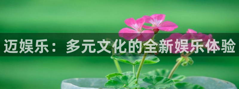 庄闲和游戏官网：迈娱乐：多元文化的全新娱乐体验