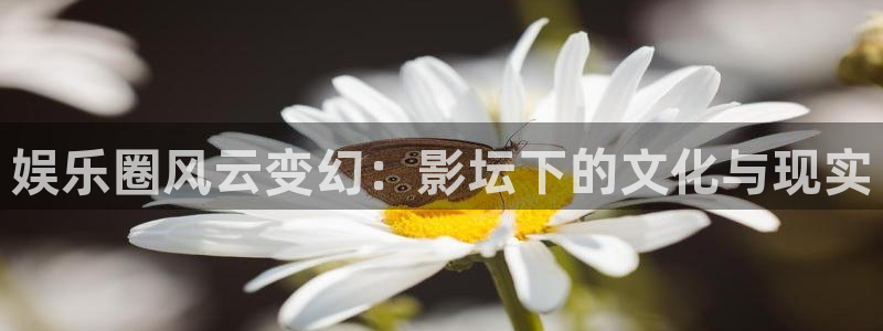 庄闲和游戏官网：娱乐圈风云变幻：影坛下的文化与现实