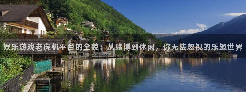 庄闲和游戏官网：娱乐游戏老虎机平台的全貌：从赌博到休闲，你无法忽视的乐趣世界