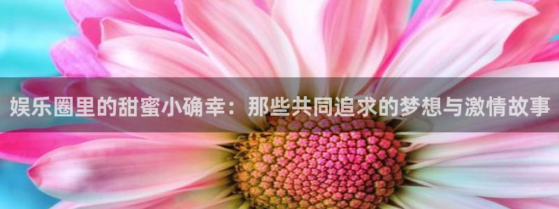 庄闲和游戏官网：娱乐圈里的甜蜜小确幸：那些共同追求的梦想与激情故事
