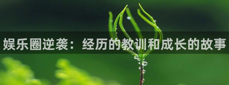 庄闲和游戏官网：娱乐圈逆袭：经历的教训和成长的故事