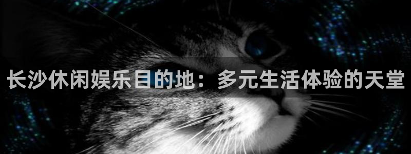 庄闲和游戏官网：长沙休闲娱乐目的地：多元生活体验的天堂